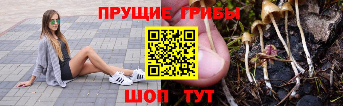 Анжеро-Судженск  Галлюциногенные грибы GOLDEN TEACHER  Псилоцибиновые грибы Psilocybe  Вход с VPN 