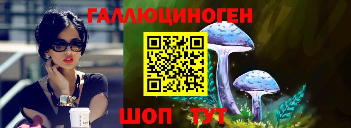 Псилоцибиновые грибы MAGIC MUSHROOMS Анжеро-Судженск